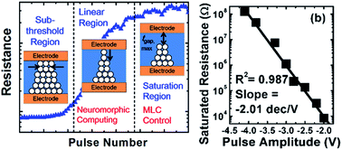 Graphical abstract: Multi-level control of conductive nano-filament evolution in HfO2 ReRAM by pulse-train operations