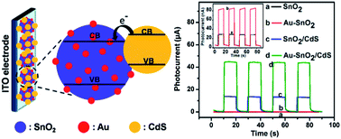 Graphical abstract: Facile synthesis of Au–SnO2 hybrid nanospheres with enhanced photoelectrochemical biosensing performance