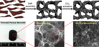 Graphical abstract: CO2-activated, hierarchical trimodal porous graphene frameworks for ultrahigh and ultrafast capacitive behavior