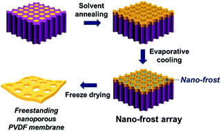 Graphical abstract: A nano-frost array technique to prepare nanoporous PVDF membranes