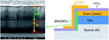 Graphical abstract: Integrating carbon nanotubes into silicon by means of vertical carbon nanotube field-effect transistors