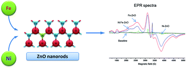 Graphical abstract: Morphological evolution and electronic alteration of ZnO nanomaterials induced by Ni/Fe co-doping