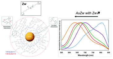 Graphical abstract: Ligand effect on the size, valence state and red/near infrared photoluminescence of bidentate thiol gold nanoclusters