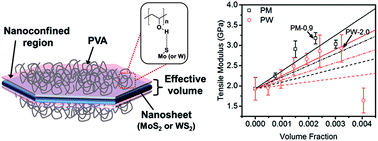 Graphical abstract: Anomalous nanoinclusion effects of 2D MoS2 and WS2 nanosheets on the mechanical stiffness of polymer nanocomposites