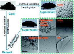 Graphical abstract: Graphene quantum dots, graphene oxide, carbon quantum dots and graphite nanocrystals in coals