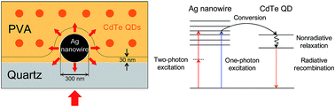 Graphical abstract: Tunable plasmon modes in single silver nanowire optical antennas characterized by far-field microscope polarization spectroscopy