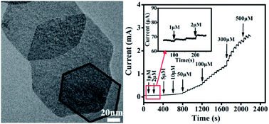 Graphical abstract: Free-standing electrochemical electrode based on Ni(OH)2/3D graphene foam for nonenzymatic glucose detection