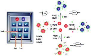 Graphical abstract: Glutathione-facilitated design and fabrication of gold nanoparticle-based logic gates and keypad lock