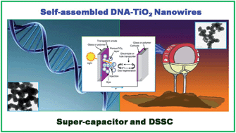 Graphical abstract: DNA mediated wire-like clusters of self-assembled TiO2 nanomaterials: supercapacitor and dye sensitized solar cell applications