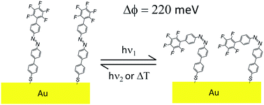 Graphical abstract: Light-induced reversible modification of the work function of a new perfluorinated biphenyl azobenzene chemisorbed on Au (111)