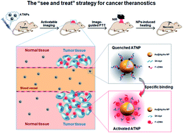 Graphical abstract: Au@Ag/Au nanoparticles assembled with activatable aptamer probes as smart “nano-doctors” for image-guided cancer thermotherapy
