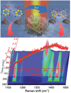 Graphical abstract: Monitoring plasmon-driven surface catalyzed reactions in situ using time-dependent surface-enhanced Raman spectroscopy on single particles of hierarchical peony-like silver microflowers