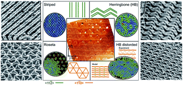 Graphical abstract: Predicting supramolecular self-assembly on reconstructed metal surfaces