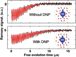 Graphical abstract: Protection of centre spin coherence by dynamic nuclear spin polarization in diamond