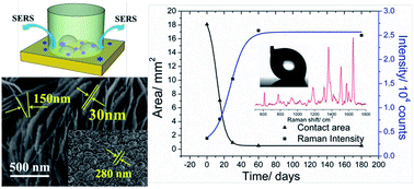 Graphical abstract: High-adhesive superhydrophobic 3D nanostructured silver films applied as sensitive, long-lived, reproducible and recyclable SERS substrates