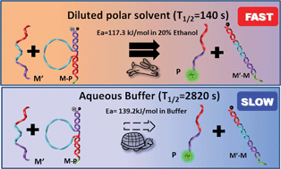 Graphical abstract: Speeding up the self-assembly of a DNA nanodevice using a variety of polar solvents