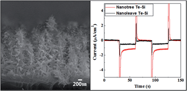 Graphical abstract: Three-dimensional hierarchical Te–Si nanostructures