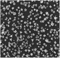 Graphical abstract: Gold nanostar substrates for SERS-based chemical sensing in the femtomolar regime