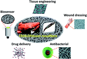 Graphical abstract: Emerging chitin and chitosan nanofibrous materials for biomedical applications