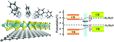 Graphical abstract: Band structure engineering of monolayer MoS2 by surface ligand functionalization for enhanced photoelectrochemical hydrogen production activity