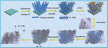 Graphical abstract: Self-assembly of a Ag nanoparticle-modified and graphene-wrapped TiO2 nanobelt ternary heterostructure: surface charge tuning toward efficient photocatalysis