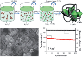 Graphical abstract: A unique hollow Li3VO4/carbon nanotube composite anode for high rate long-life lithium-ion batteries