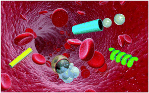 Graphical abstract: Synthetic micro/nanomotors in drug delivery