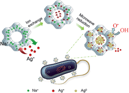 Graphical abstract: Silver confined within zeolite EMT nanoparticles: preparation and antibacterial properties