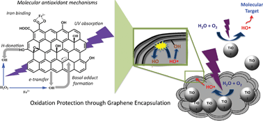 Graphical abstract: Antioxidant chemistry of graphene-based materials and its role in oxidation protection technology