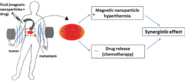 Graphical abstract: Magnetic nanoparticle-based therapeutic agents for thermo-chemotherapy treatment of cancer