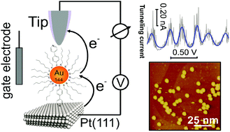Graphical abstract: Controlled assembly and single electron charging of monolayer protected Au144 clusters: an electrochemistry and scanning tunneling spectroscopy study