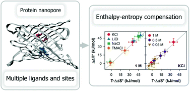Graphical abstract: Entropy–enthalpy compensation at the single protein level: pH sensing in the bacterial channel OmpF