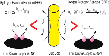 Graphical abstract: Strong negative nanocatalysis: oxygen reduction and hydrogen evolution at very small (2 nm) gold nanoparticles
