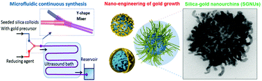 Graphical abstract: Engineering the synthesis of silica–gold nano-urchin particles using continuous synthesis