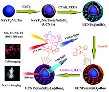 Graphical abstract: Multifunctional nanomesoporous materials with upconversion (in vivo) and downconversion (in vitro) luminescence imaging based on mesoporous capping UCNPs and linking lanthanide complexes