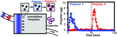 Graphical abstract: Convective polymer assembly for the deposition of nanostructures and polymer thin films on immobilized particles