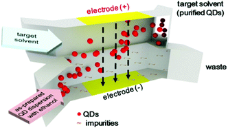 Graphical abstract: Continuous flow purification of nanocrystal quantum dots
