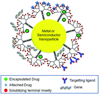 Graphical abstract: Nanoparticle-cored dendrimers: functional hybrid nanocomposites as a new platform for drug delivery systems