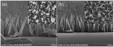 Graphical abstract: Giant enhancement of the Raman response due to one-dimensional ZnO nanostructures