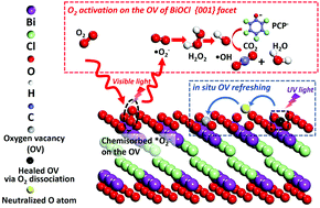 Graphical abstract: Sustainable molecular oxygen activation with oxygen vacancies on the {001} facets of BiOCl nanosheets under solar light