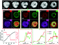 Graphical abstract: Real-time imaging and elemental mapping of AgAu nanoparticle transformations