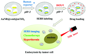 Graphical abstract: Mesoporous titania based yolk–shell nanoparticles as multifunctional theranostic platforms for SERS imaging and chemo-photothermal treatment
