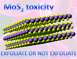 Graphical abstract: MoS2 exhibits stronger toxicity with increased exfoliation