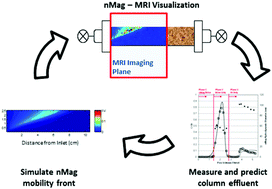 Graphical abstract: In situ measurement and simulation of nano-magnetite mobility in porous media subject to transient salinity