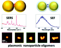 Graphical abstract: Surface-enhanced spectroscopy on plasmonic oligomers assembled by AFM nanoxerography
