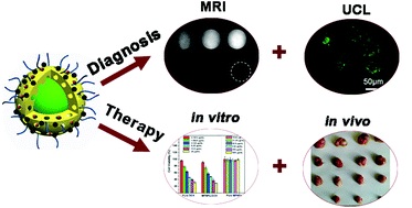 Graphical abstract: Multifunctional NaYF4:Yb, Er@mSiO2@Fe3O4-PEG nanoparticles for UCL/MR bioimaging and magnetically targeted drug delivery