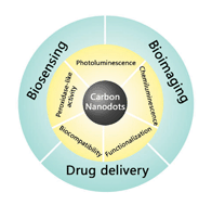 Graphical abstract: Recent advances in carbon nanodots: synthesis, properties and biomedical applications