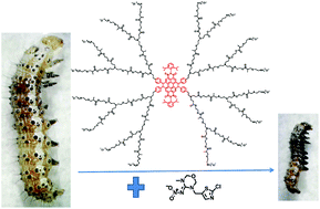 Graphical abstract: A functionalized fluorescent dendrimer as a pesticide nanocarrier: application in pest control