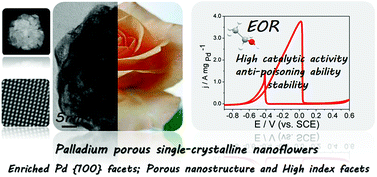 Graphical abstract: Porous single-crystalline palladium nanoflowers with enriched {100} facets for highly enhanced ethanol oxidation