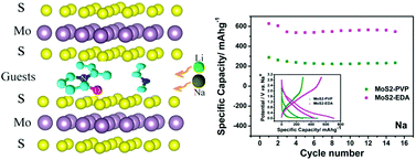 Graphical abstract: Guest–host interactions and their impacts on structure and performance of nano-MoS2